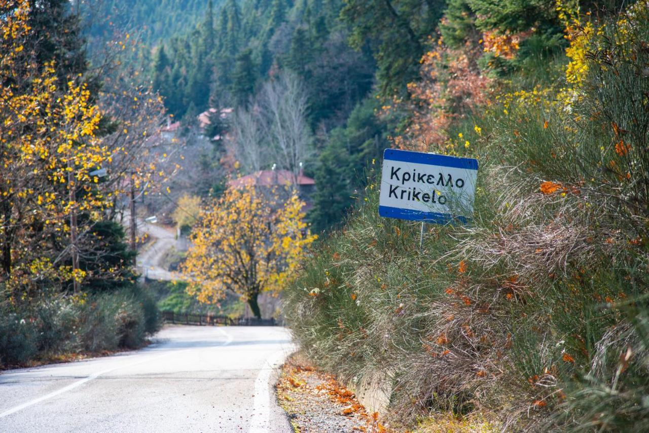 Archontiko Aiolides Country house Krikellon