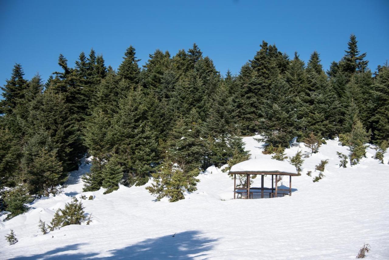 Country house Archontiko Aiolides Krikellon